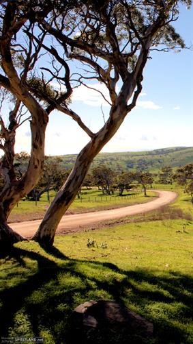 Country Road, SA. 